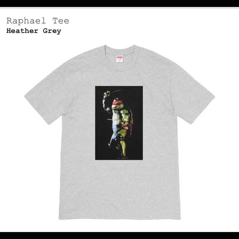 Supreme Raphael T shirt